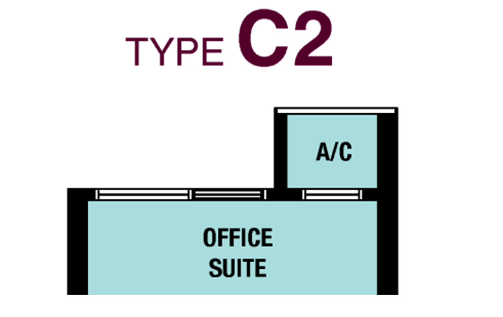 Type C2